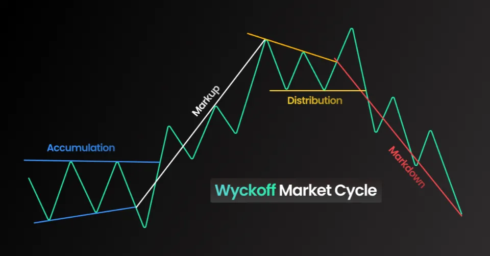 Wyckoff Market Cycle